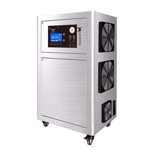 Flygoo 20g/H Ozone Generator Gym Swimming Pool Water Treatment